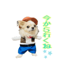 m.r.r.c（個別スタンプ：10）