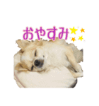 m.r.r.c（個別スタンプ：11）