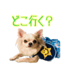 m.r.r.c（個別スタンプ：12）