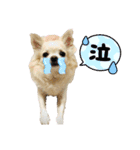 m.r.r.c（個別スタンプ：15）