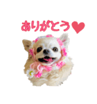 m.r.r.c（個別スタンプ：16）