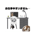 うさぎのコルクちゃん（個別スタンプ：32）