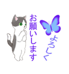 日常の気持ち☆猫のスタンプ（個別スタンプ：9）