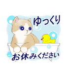 日常の気持ち☆猫のスタンプ（個別スタンプ：25）