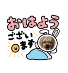 お転婆ヨーキー璃愛華＆愛望＆永愛（個別スタンプ：20）