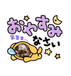 お転婆ヨーキー璃愛華＆愛望＆永愛（個別スタンプ：23）