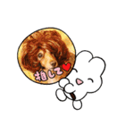 すたんぷダックス（個別スタンプ：19）