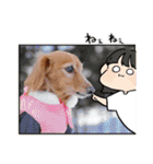 すたんぷダックス（個別スタンプ：20）