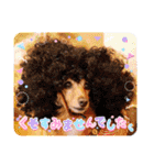 すたんぷダックス（個別スタンプ：22）