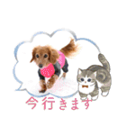 すたんぷダックス（個別スタンプ：25）
