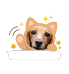 すたんぷダックス（個別スタンプ：28）