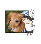 すたんぷダックス（個別スタンプ：32）