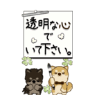 【Big】ちゃちゃ丸たち 46『岡山・広島弁』（個別スタンプ：26）