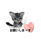 ねこちゃんだニャン（個別スタンプ：2）