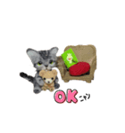 ねこちゃんだニャン（個別スタンプ：4）