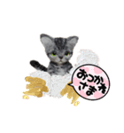ねこちゃんだニャン（個別スタンプ：8）