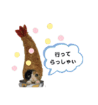ねこちゃんだニャン（個別スタンプ：17）