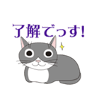 野良猫たまくん（個別スタンプ：3）