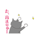 野良猫たまくん（個別スタンプ：6）