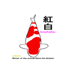 2023国魚の祭典NO1（個別スタンプ：3）