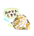 kengstamp20232（個別スタンプ：9）