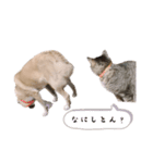 のんにま（個別スタンプ：7）