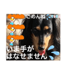 ダックスのスタンプ4。（個別スタンプ：5）