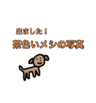 怠惰すぎる犬（個別スタンプ：33）