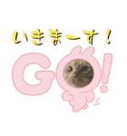 なまらめんこいニャンコスターズvol.2（個別スタンプ：9）