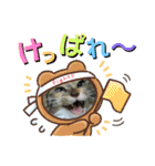 なまらめんこいニャンコスターズvol.2（個別スタンプ：16）