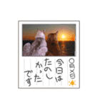 なまらめんこいニャンコスターズvol.2（個別スタンプ：35）