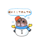 なまらめんこいニャンコスターズvol.2（個別スタンプ：36）