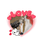 可愛い猫と言葉（個別スタンプ：5）
