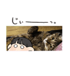 可愛い猫と言葉（個別スタンプ：7）