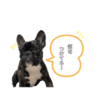 aile chan（個別スタンプ：23）