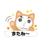 こだるまくん（個別スタンプ：4）