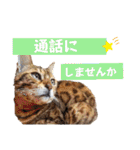 共感を伝えたいときの猫スタンプ（個別スタンプ：19）