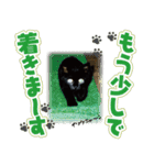 日本の可愛い猫達（個別スタンプ：20）