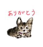 いえねこの日常α 修正版（個別スタンプ：3）