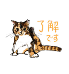 いえねこの日常α 修正版（個別スタンプ：12）