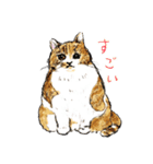 いえねこの日常α 修正版（個別スタンプ：24）