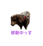 ギルボさんのスタンプ（個別スタンプ：2）