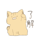 猫詰めスタンプ。（個別スタンプ：1）