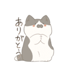 猫詰めスタンプ。（個別スタンプ：3）