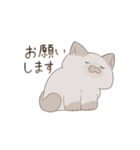猫詰めスタンプ。（個別スタンプ：4）