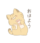 猫詰めスタンプ。（個別スタンプ：5）