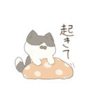 猫詰めスタンプ。（個別スタンプ：7）