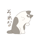 猫詰めスタンプ。（個別スタンプ：11）