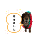 ギルボさんのスタンプ3（個別スタンプ：4）