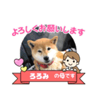 ろろみ大好き（個別スタンプ：1）